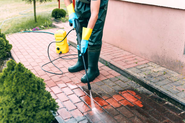 Best Roof Power Washing Services  in Shasta, CA